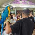 Animais encantam crianças em festa no Clube da Barra
